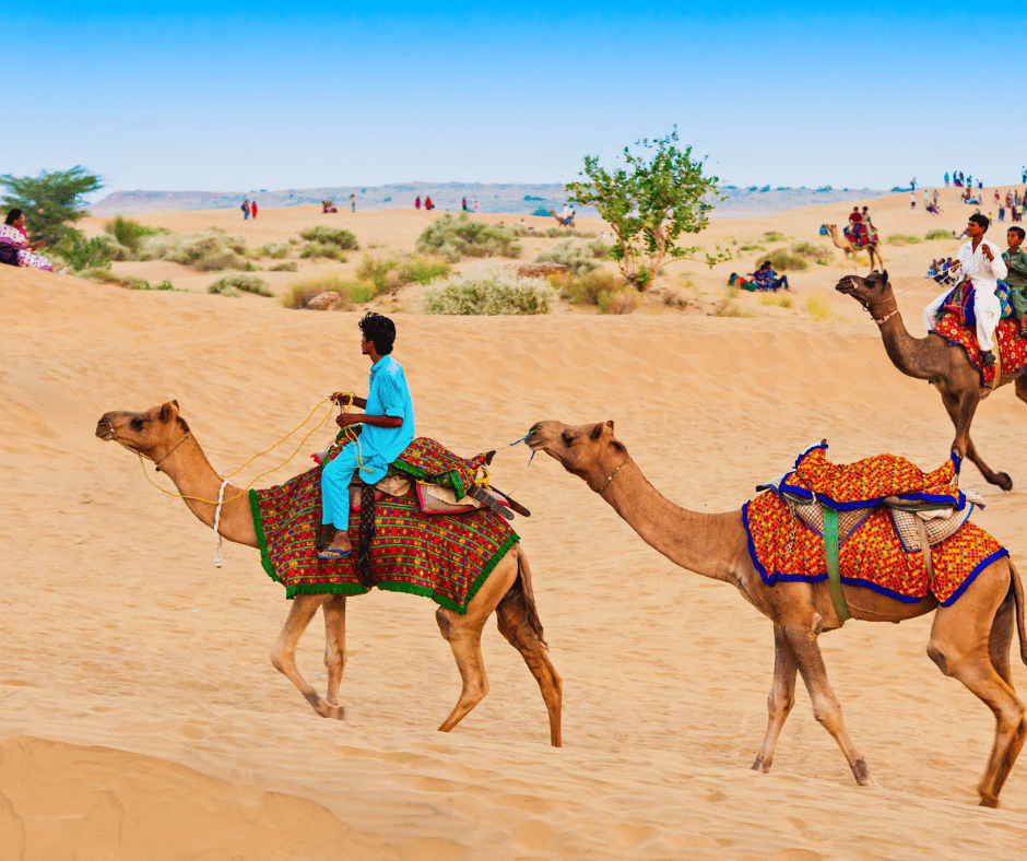 Camel Ride